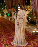 Ready To Wear Champagne Gold Butterfly Net Embroidery Lehenga Saree With Blouse